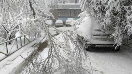 Березовий сік замерзне, а підсніжників взагалі не буде! Синоптики шокували прогнозом, де буде мороз у -26 градусів і снігопад?