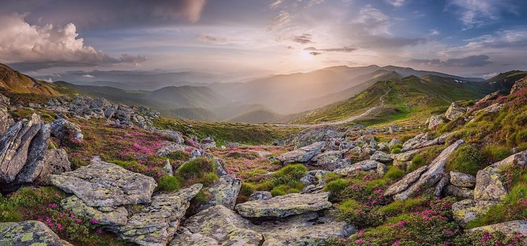 Прокуратура через суд повернула Карпатському національному природному парку незаконно приватизовану ділянку